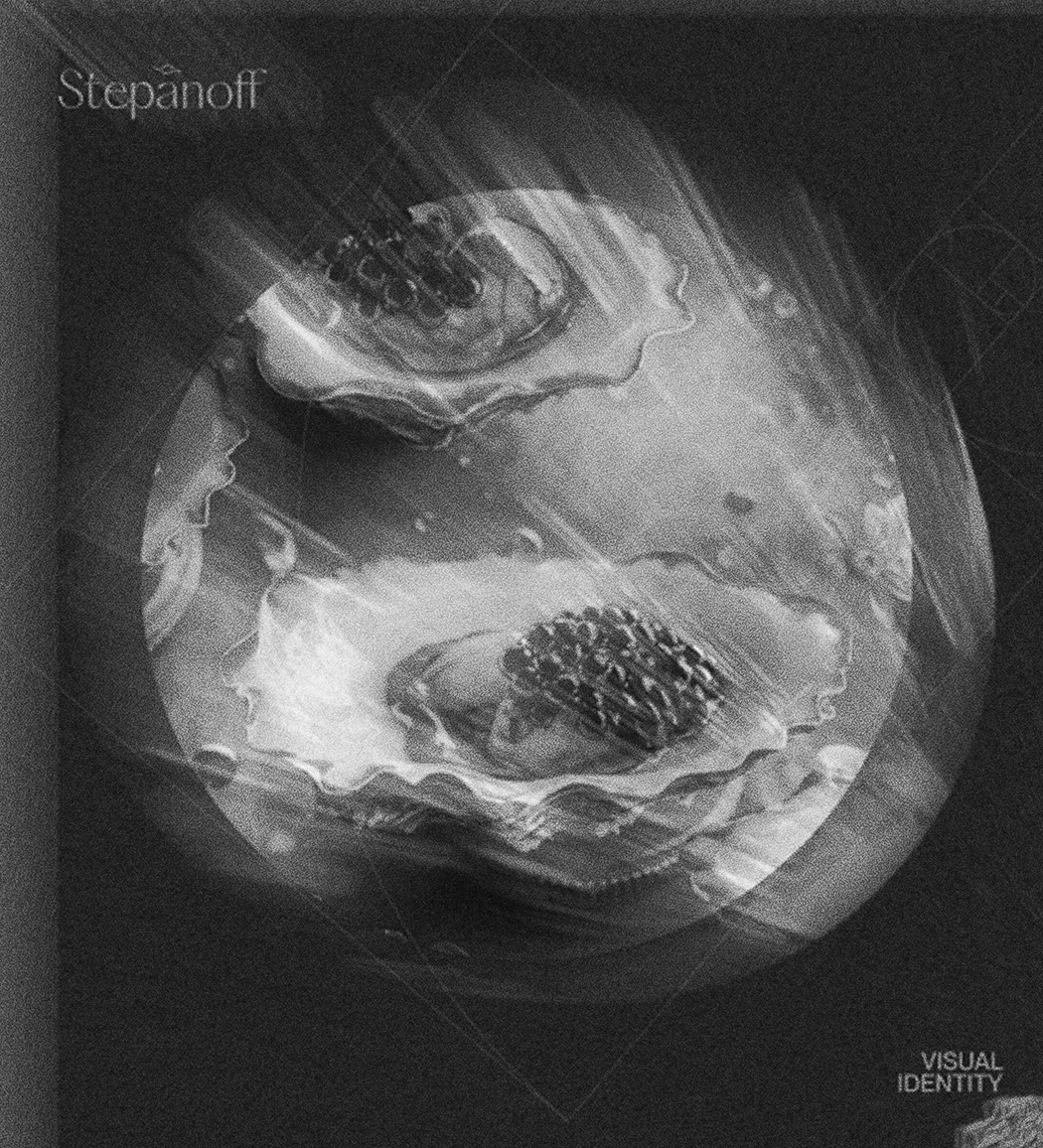 Yallo project cover with abstract blurred silhouette and layered motion effect